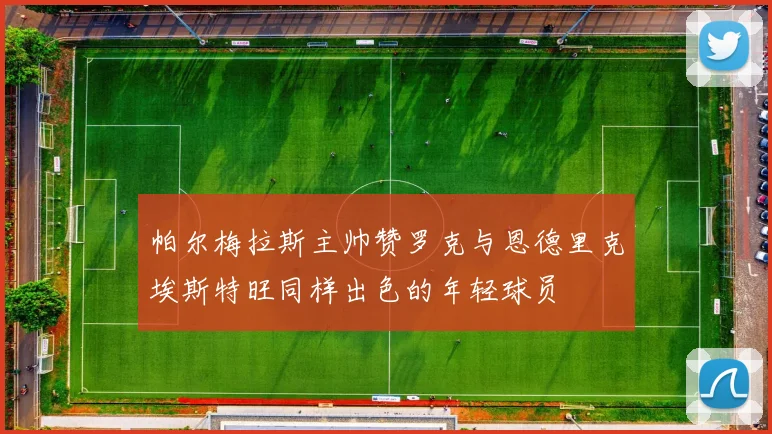 帕尔梅拉斯主帅赞罗克与恩德里克埃斯特旺同样出色的年轻球员