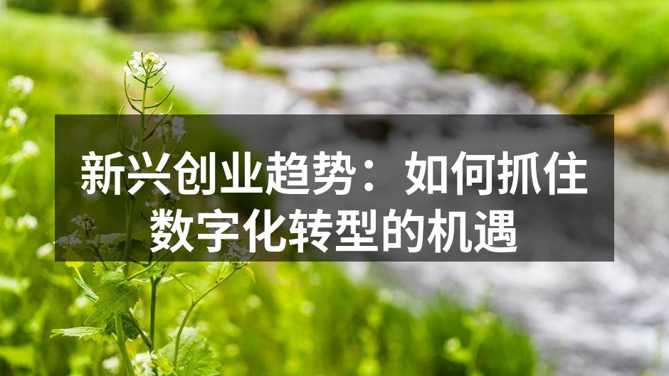 新兴创业趋势：如何抓住数字化转型的机遇