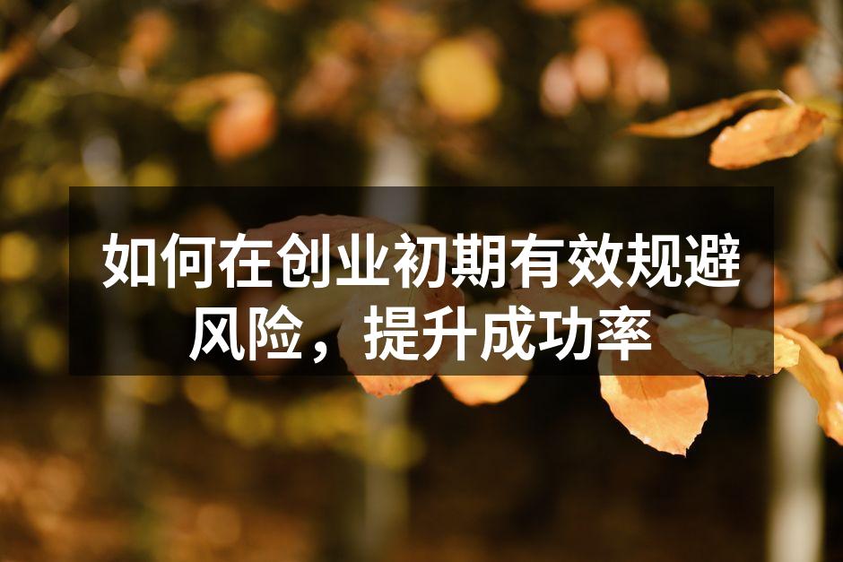 如何在创业初期有效规避风险，提升成功率