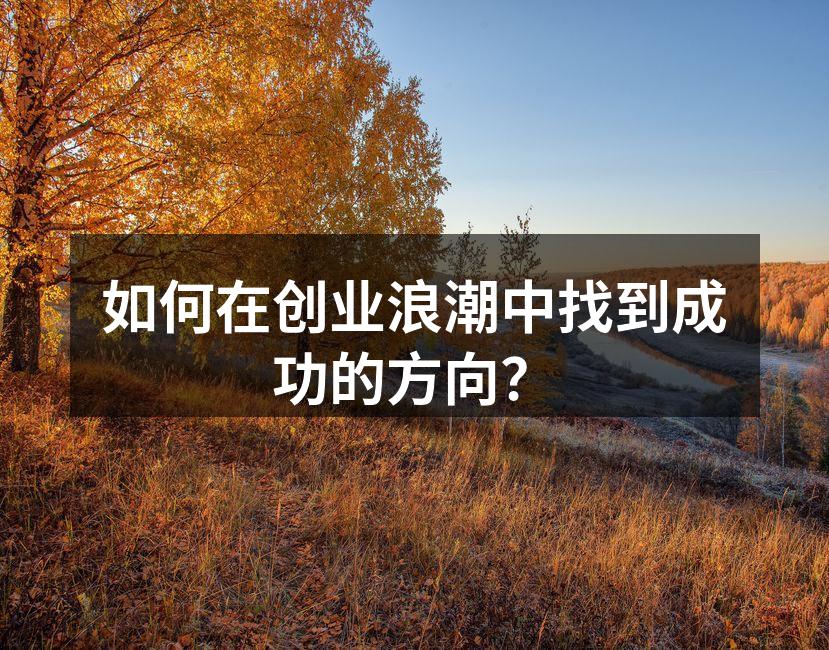 如何在创业浪潮中找到成功的方向？